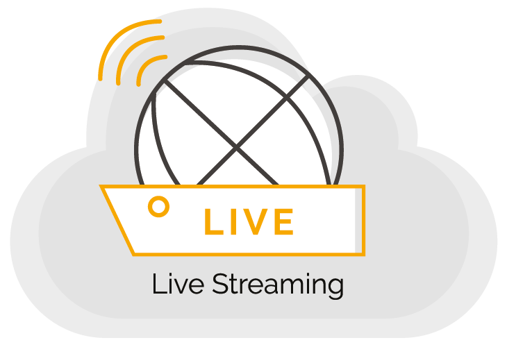 WeStream - Services - Live Streaming